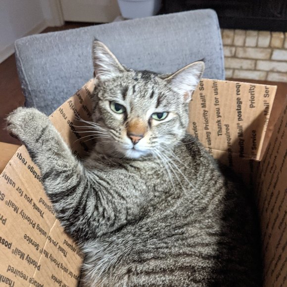 Meet your Posher, R. - Picture 6 of 11